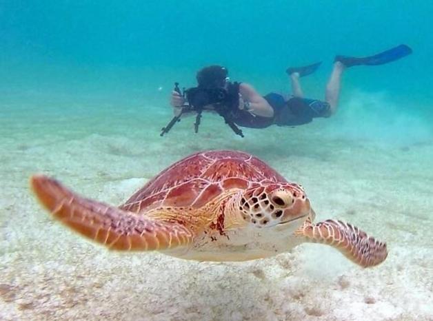 Los Dolses Don Juan,Villa Avec Piscine Privee Orihuela Dış mekan fotoğraf